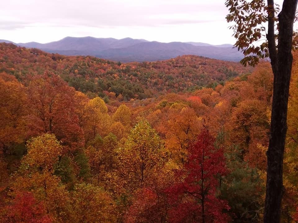 Peak fall color across the ridges.